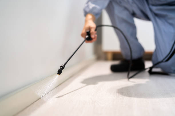 Licensed Ant Control service in Downs, IL - Show Me Pest Control