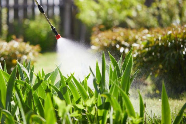 24/7 Emergency Ant Control experts in Downs, IL