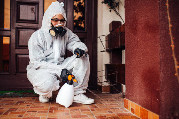 Reliable Ant Control contractor in Downs, IL by Show Me Pest Control