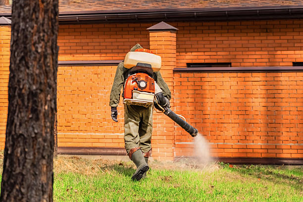 Top rated local Ant Control specialists in Downs, IL